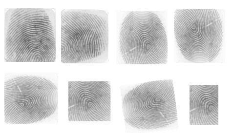 Extract the minutiae points. 3. Matching test Fingerprint with the database.