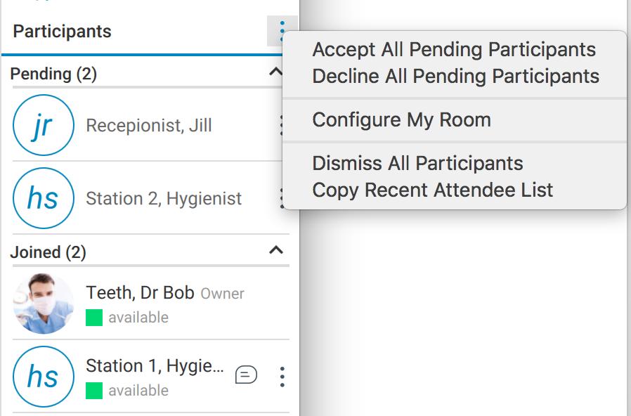 If you have a larger number of pending requests, the extra menu available on Participants allows you to accept or decline all pending requests at once.