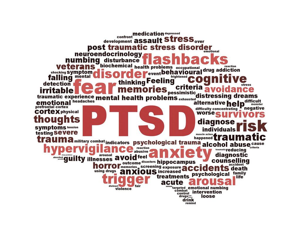 Introduction In the design of a resource for those suffering from Post Traumatic Stress Disorder, great care must be given to maintaining a sensitivity to the unique