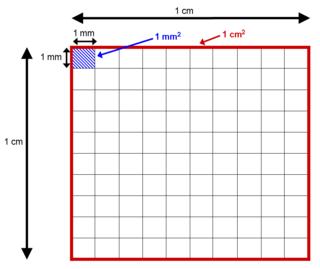 Area & Volume Conversion Factors How many cm is 4.5 m?