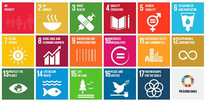 17 Sustainable Development Goals (SDGs) 169 action targets (!