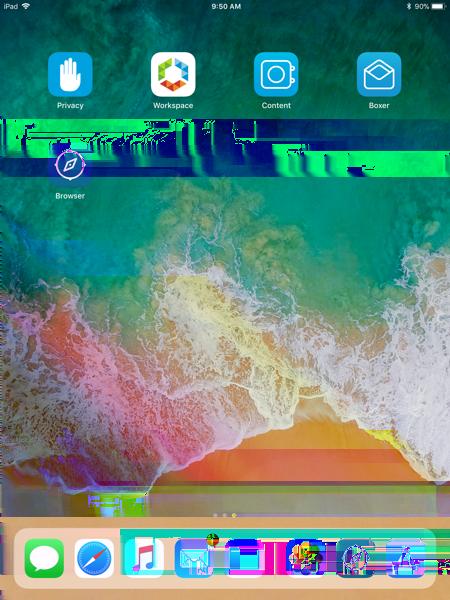 Figure 47: Native Apps on ios Home Screen 9.