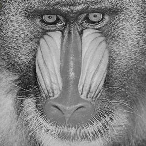 Chaotic mixing of Baboon image by
