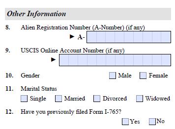 Alien Registration Number: This does not apply to most students and should be left blank unless you have an A-Number from a prior USCIS filing, list it here.