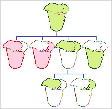 (d) Resulting closed contours form a local hierarchy; larger contours contain smaller ones. Principal closed contours are shown in green, non-principal closed contours in red.