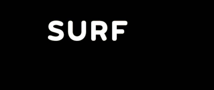 SURF: who are we?