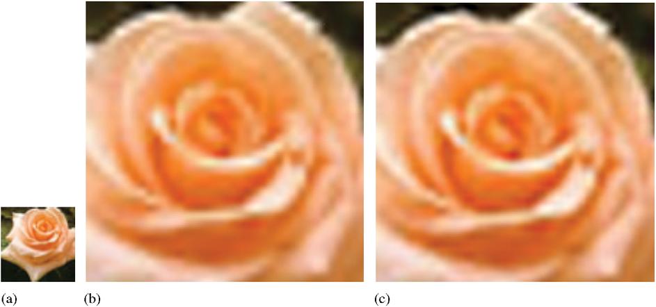 52 M. Hu, J. Tan / Journal of Computational and Applied Mathematics 195 (2006) 46 53 Fig. 3. Rose image with 6x magnification. Image (a) is original image.