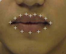 A 5-2-7 lip model (5 points representing the lower lip contour, 2 points for the lip corners and 7 points for the upper lip contour) is adopted to describe the outer lip contour. Fig.