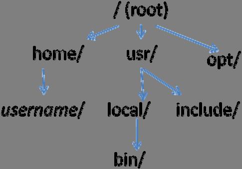 system, which is called the pathname. Pathnames indicate the way through the file structure.