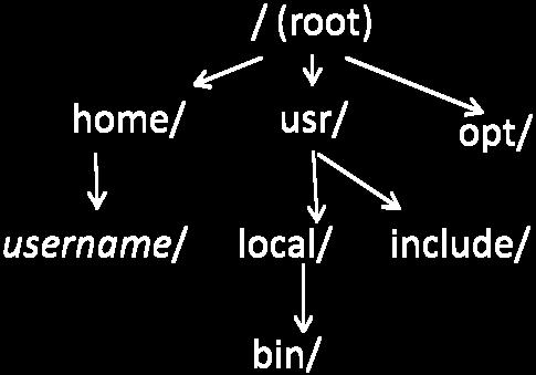 For example using Figure 1, the path from root to your own directory path would be /home/username Given you have just logged into your machine, this path (/home/username) is returned if you issue the