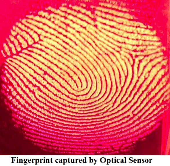 Fingerprint Scanner Dedicated 400MHz DSP 2 Mbyte RAM ISO/IEC 19794 Fingerprint Template Sensor Technology: Optical CMOS Sensing Area: 16.0mm 19.