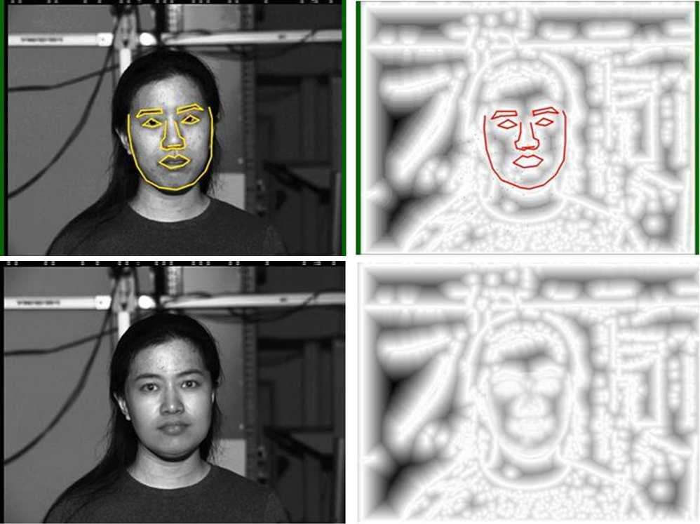This error curve depicts the robustness of the preprocessing used for the distance maps since it makes it possible to find facial features knowing that only 4 face images with frontal lighting were