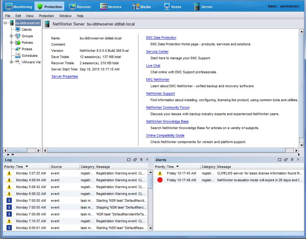NetWorker VMware Protection with the VMware Backup Appliance (legacy) Figure 104 Protection window in the Administration window