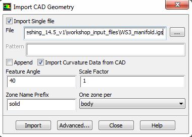Import the CAD Geometry File Import CAD... Ensure that Import Single file is enabled. Click and select the file WS3_manifold.igs. Enable Import Curvature Data from CAD.