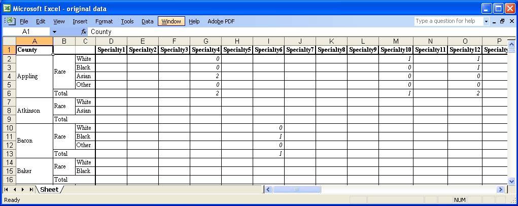 WHAT THE DATA SET LOOKED LIKE BEFORE IMPORTING The Georgia Physician s Workforce data was received as an Excel spreadsheet in the format seen below.