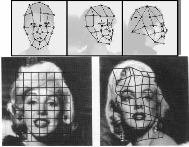 Elastic graph matching Each face is represented by a set of feature vectors positioned on the nodes of a coarse 2D grid placed on the face Each feature vector is comprised of a set of responses of 2D