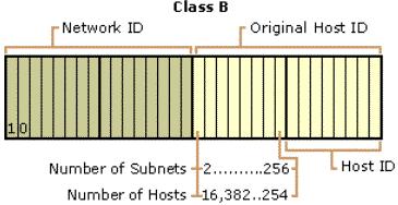 network ID. If we choose one host bit for subnetting, we obtain 2 subnetted network IDs with 16,382 hosts per subnetted network ID.