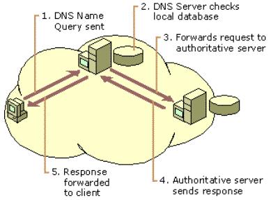 5. The original DNS server sends the IP address mapping information to the client. Figure 12.