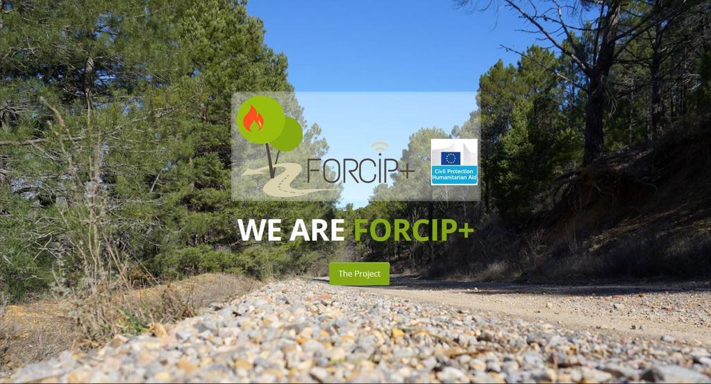 Sections: Figure 3 FORCIP+ website Newsletter: the information published in