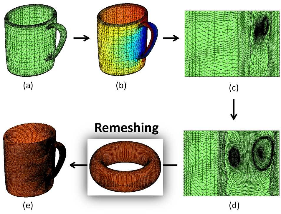 Figure 2.10: The different steps of the re-meshing process: (a) The surface is represented by a 3 mesh.