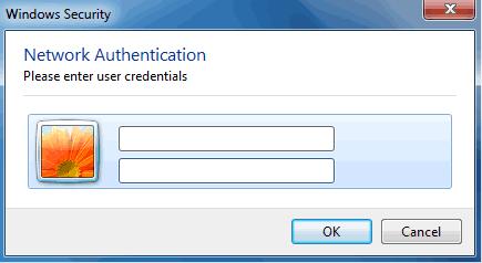 13. In the Windows Security dialog box that appears, enter the user name and password set on the