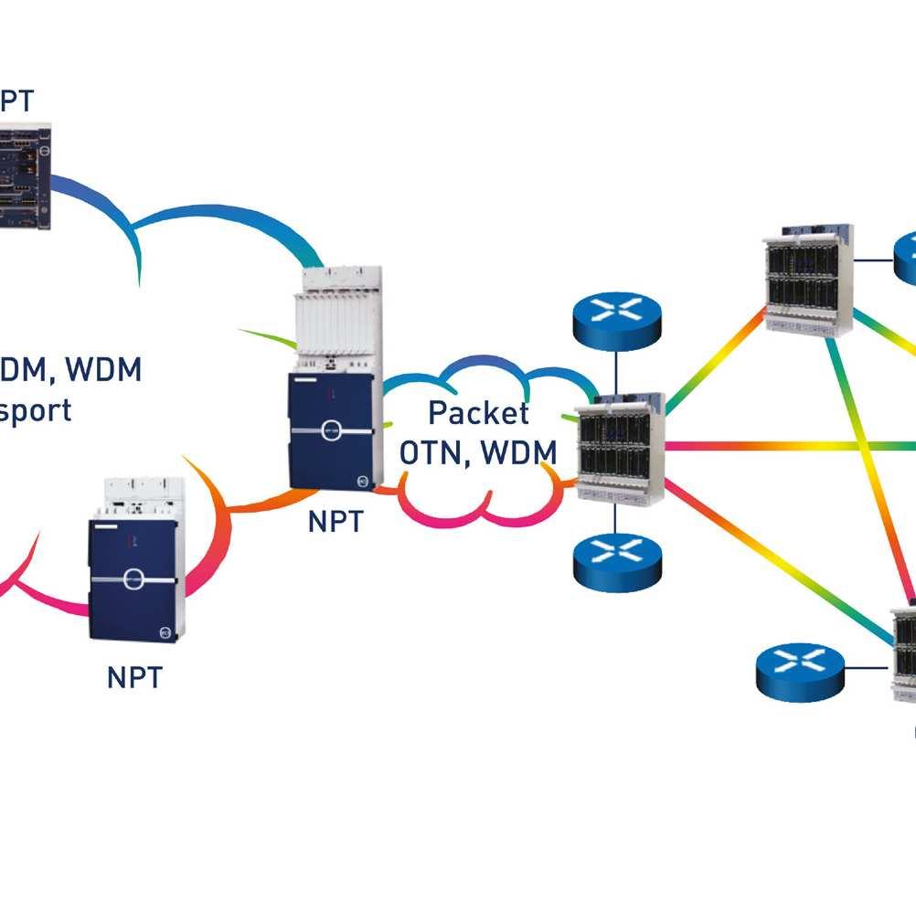Native at the Fore NPT is a family of future-proof and carrier-class converged multiservice packet transport platforms optimized for metro packet transport networks.