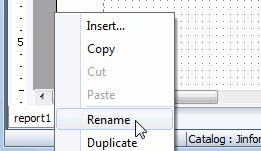In the Input Report Tab Name dialog, enter OrderDetails and click OK. 16.