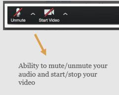 Tips for Presenters As a presenter (or panelist in Zoom lingo) you will have additional functions on your task bar. You will only need to check and make sure you are unmuted and start your video.