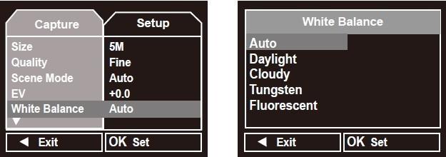 Fluorescent, and then press OK button to confirm. When select Auto, it will adjust automatically according to the outer environment. When select Daylight, it is suitable for fine day.