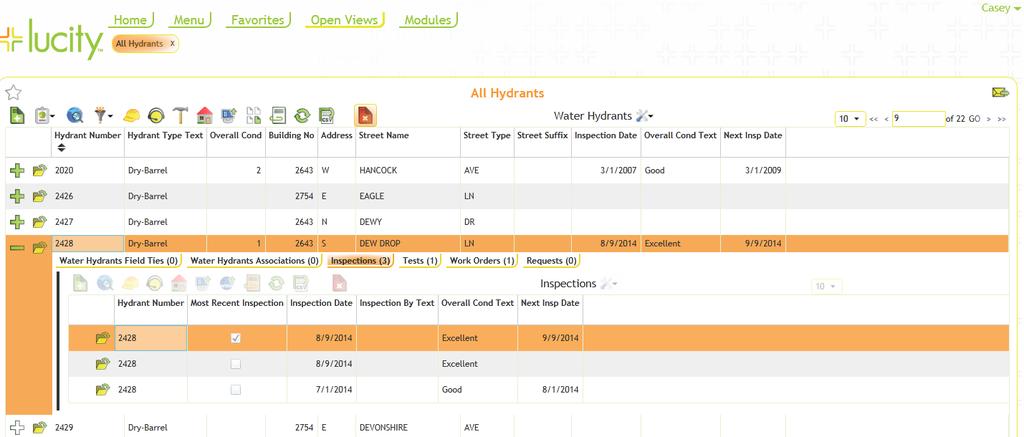 Using the Grids The parent grids can display multiple child records in grid format. The types of child records included can be customized by your system administrator.