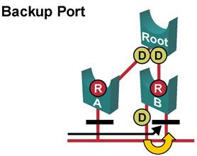 Forwarding Forwarding RSTP defines port states based on what it does with incoming data frames. Discarding Incoming frames are dropped No MAC Addresses learned Combination of 802.