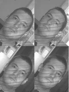 Figure 3. 3D reconstructions from the top left image of Fig. 2 3.2 Frontal Face Frontal images of the databases have not been used yet. 3.3 Profile Figure 2. Samples from the database image is 2 mm.