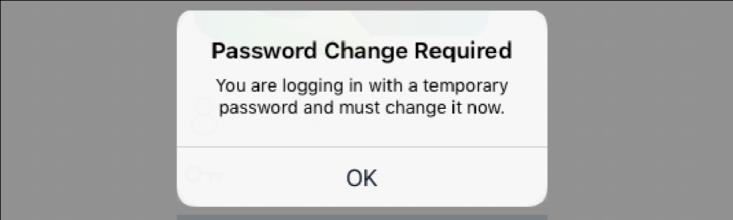 Login First Time Login/Password Reset Logging in for the first time or requesting a password reset requires the merchant to update their issued temporary password.