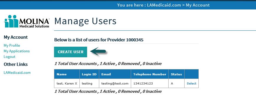 Click the Manage Users link.