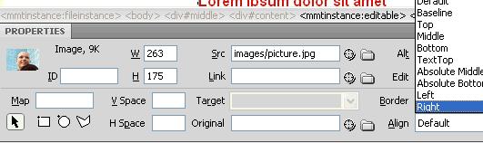 Part 11: Formatting Images Now we need to insert the image into the content.