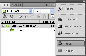 You will see the new site defined in the Files Panel.
