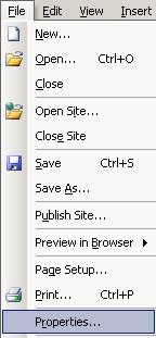 Create a new Page Click the small down arrow next to the new button on the standard toolbar and select Page.
