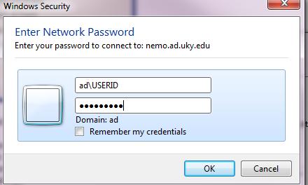 i. In the Username field, enter your Active Directory UserID. This is the LinkBlue ID used on the myuk portal.