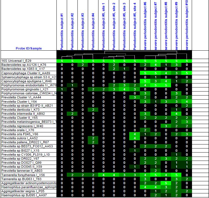 Example: DNA Microarray Converted to a table From Human