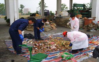 Various waste streams and cross-cutting issues: integrated solid waste management (ISWM), e-waste, waste plastics,