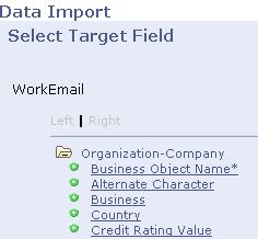 Importing Data into PeopleSoft CRM Chapter 18 FIRST NAME LAST NAME EMPLID Joe Smith 124 Data Import considers First Name and Last Name unique, and therefore inserts only one row and updates the