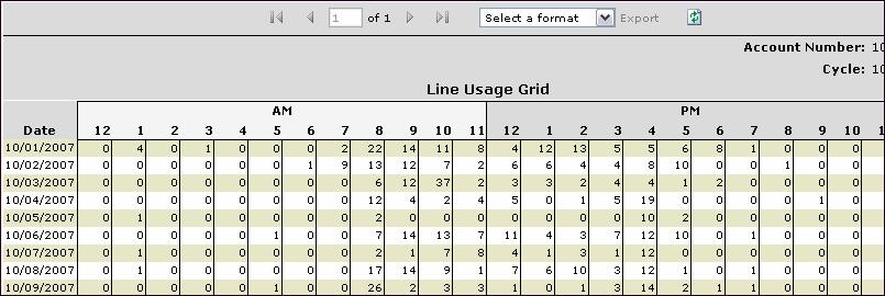 Usage Grid View This report summarizes calls or minutes by line. The report output and values vary based on the number of Service Categories selected.