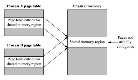 Shared Memory The virtual memory pages of each process points (mapped)