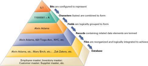Data hierarchy: Basic definition: Bit, byte, field, record, file and database (summary
