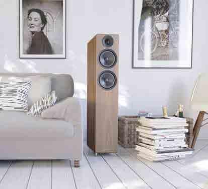 ever-changing requirements of consumer audio, whilst extending into new product categories in order to