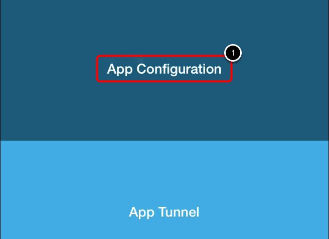 Launch the AppConfig Sample App from the Device Once