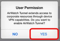 Accept the VPN Security Warning Tap "YES" then press the home button to return to the Launchpad.