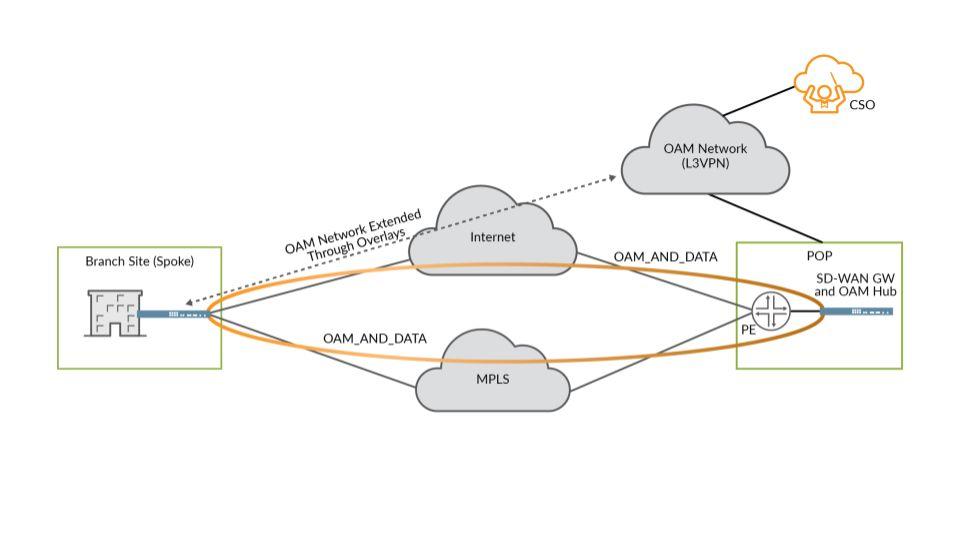 Management Plane CSO connects to and configures on-premise devices using SSH for console and NETCONF connections. Data Plane Data plane connections can be configured to use IPsec.