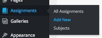 Assignments When an assignment is added, it will automatically appear on the Assignments page. To add a new Assignment, click Assignments> Add New. Enter a title for your assignment.