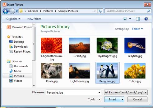 Select the slide you want to insert a picture into 2. Insert tab << select Picture 3.